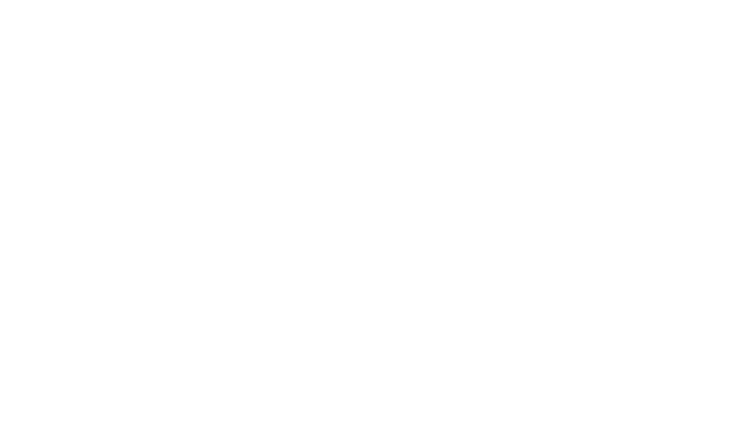 BPZ-Logo-Square-NoBox-Wht