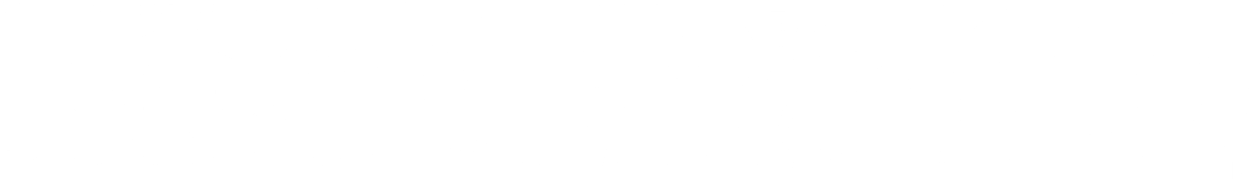 BPZ-Logo-horizontal_Wht