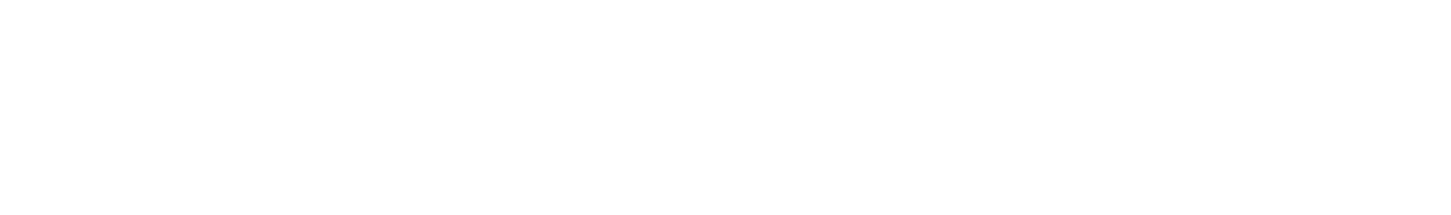 BPZ-Logo-horizontal_White