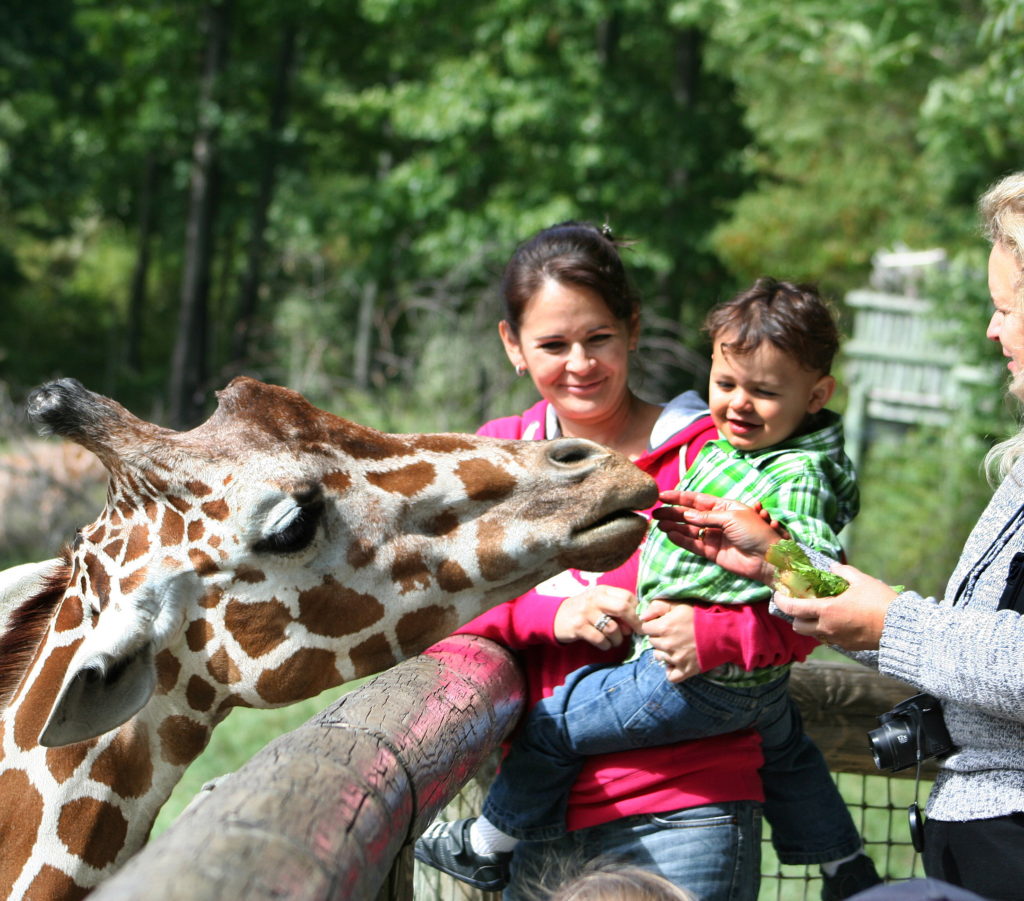 Mom-at-Binder-Park-Zoo