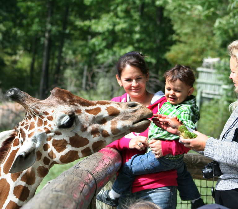 Visitor Information - Binder Park Zoo