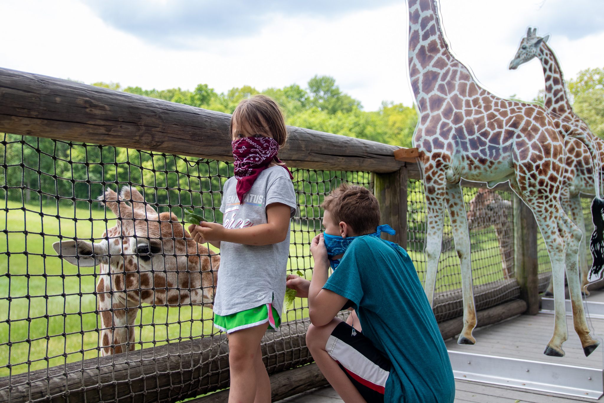 Travel Card Copy Binder Park Zoo