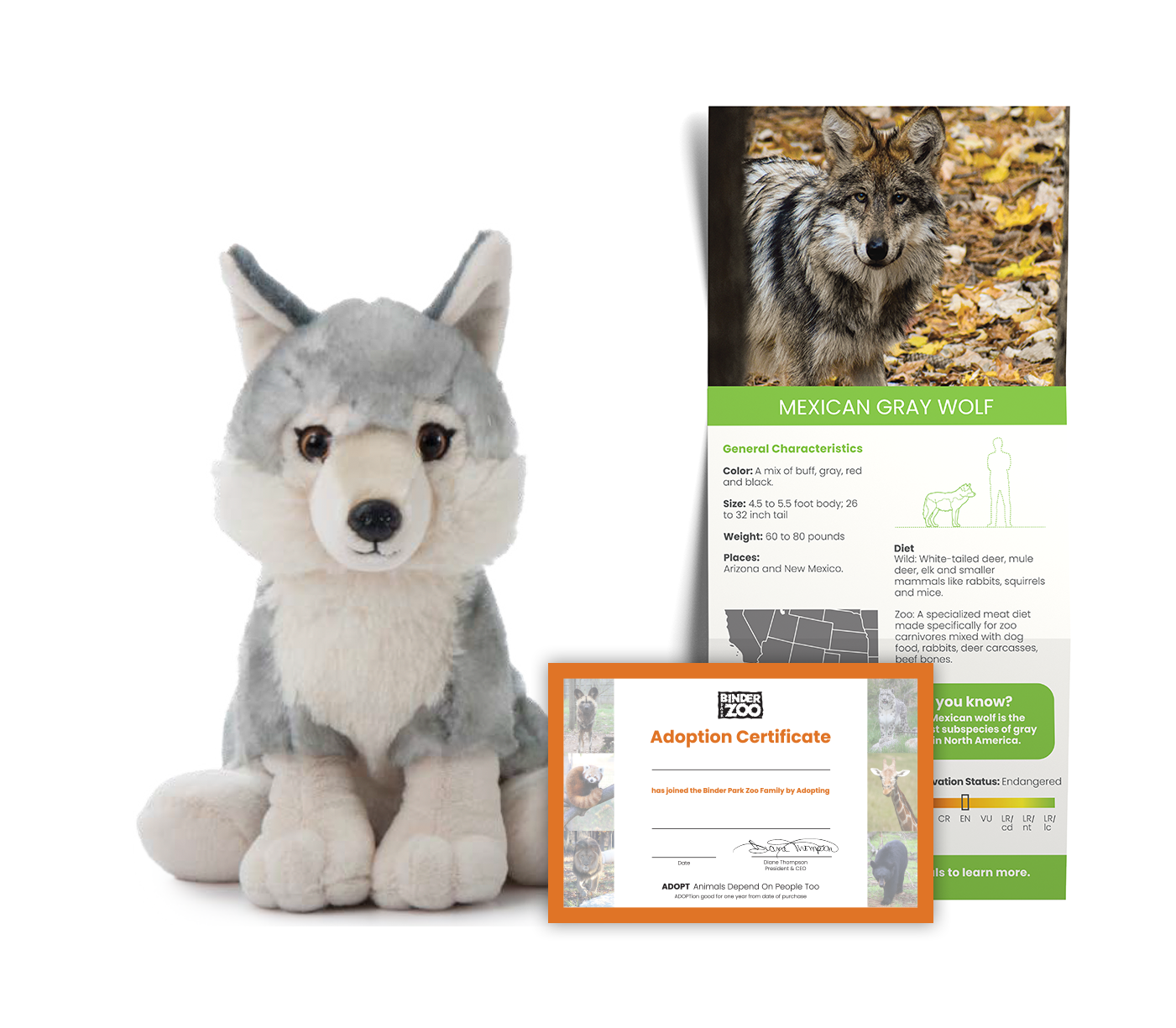 Animal ADOPT Mexican Gray Wolf - Binder Park Zoo
