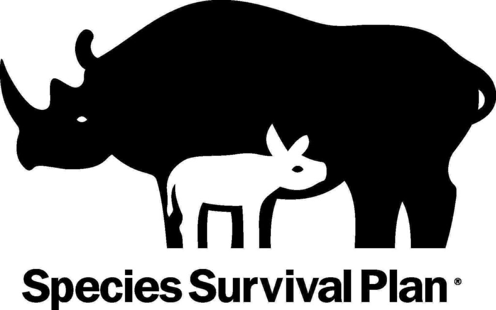 Species Survival Plan Binder Park Zoo
