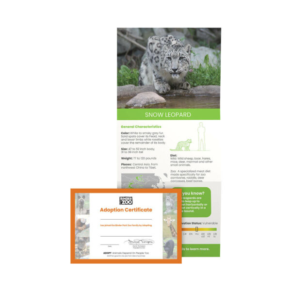 Snow leopard fact sheet and adoption certificate