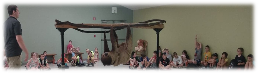 Campers sitting along edges of room with fake sloth hanging upside-down from fake tree branch in foreground. One child's hand is raised.