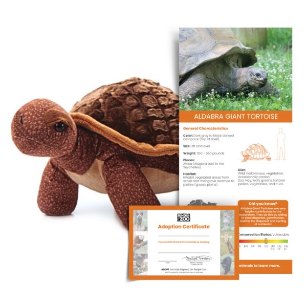 Valentine ADOPT Aldabra Tortoise