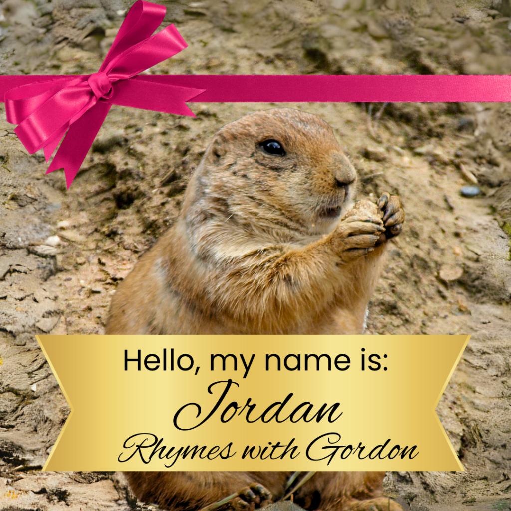 Hi, I'm Jordan-Rhymes-with-Gordon!