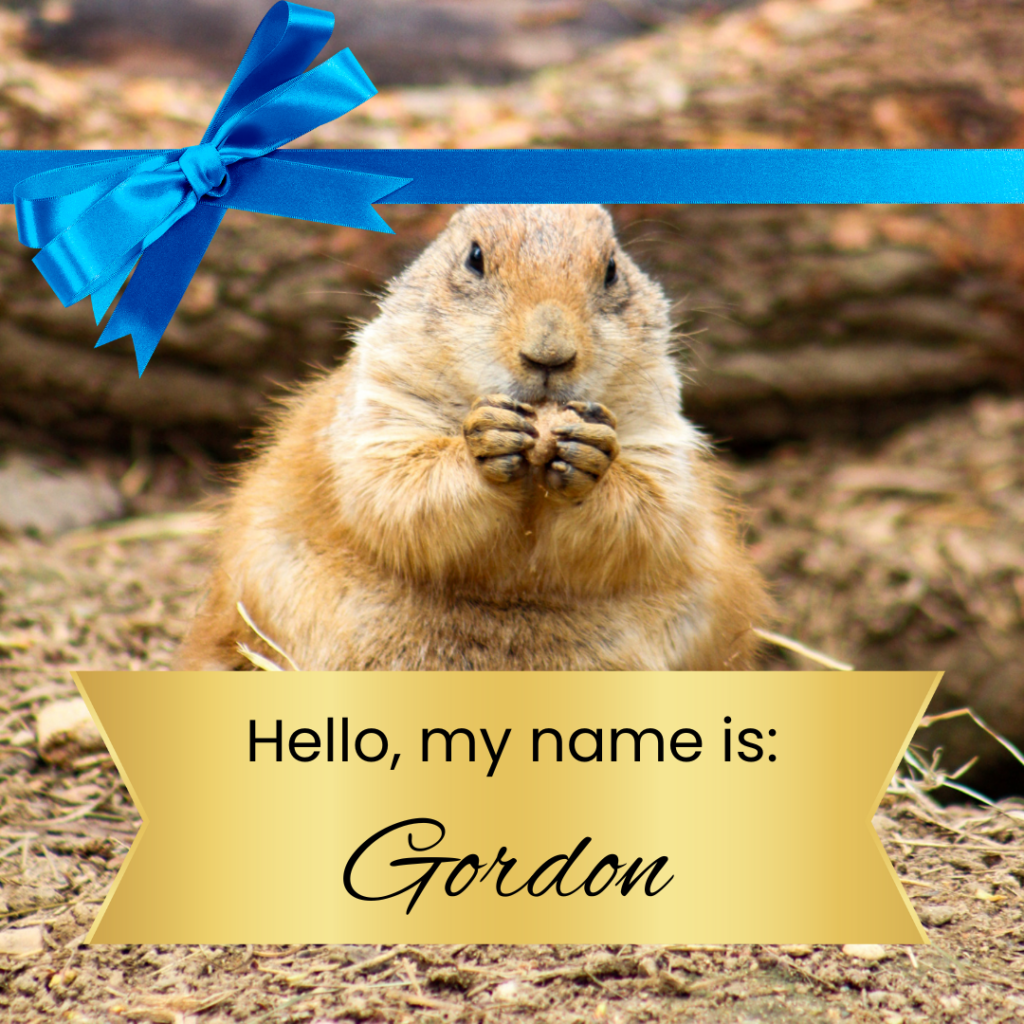 Hi, I'm Gordon!