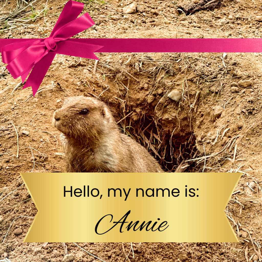 Hi, I'm Annie!