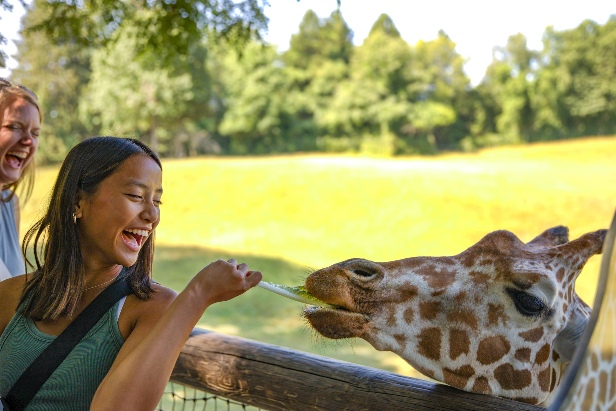 Visitor Information - Binder Park Zoo