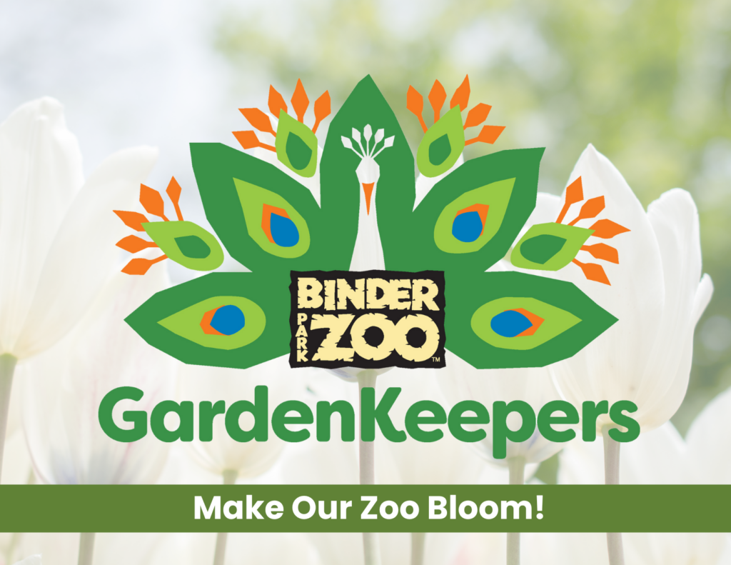 Volunteer Binder Park Zoo