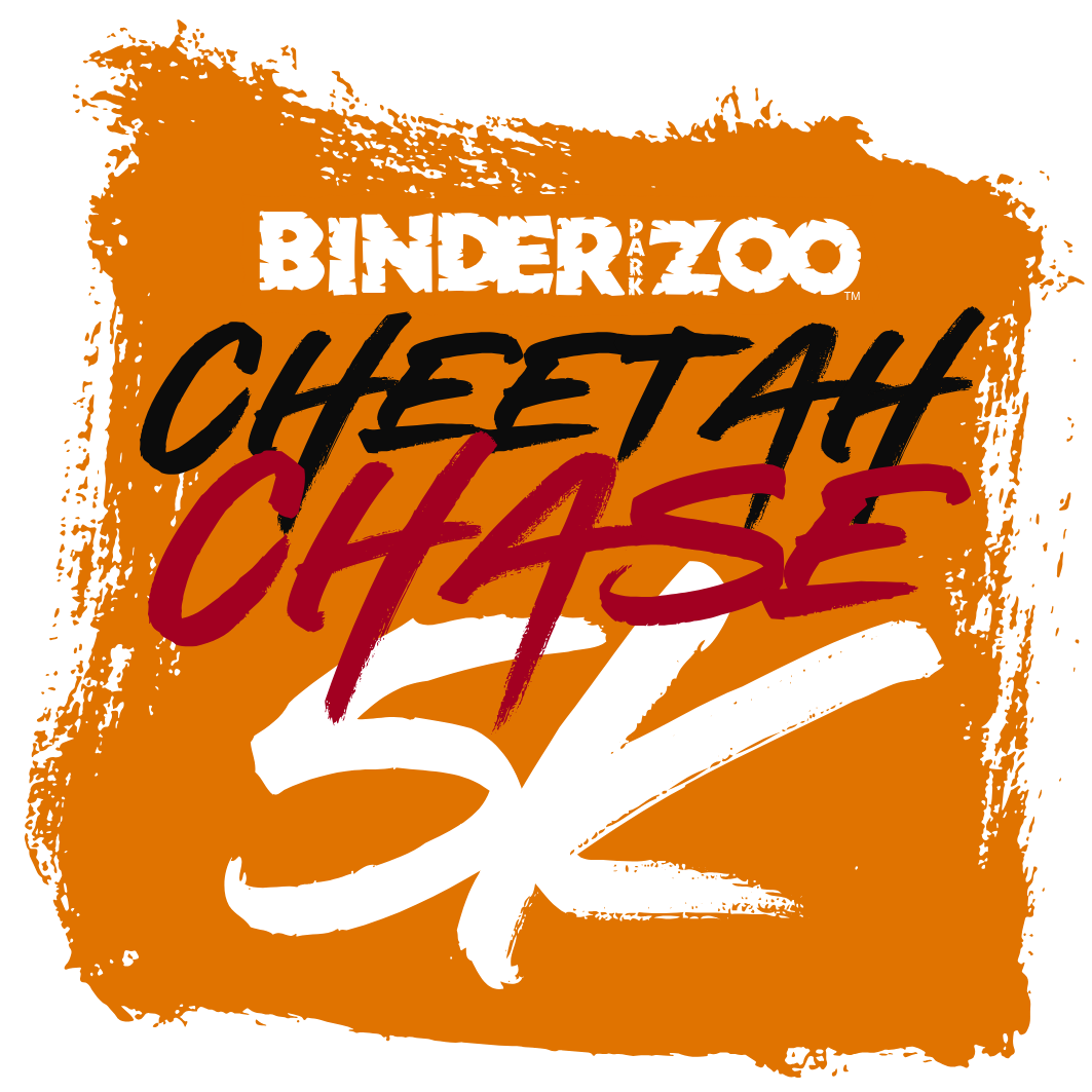 2026 Website Cheetah Chase Logo