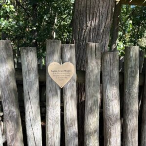 Hearts at Twiga