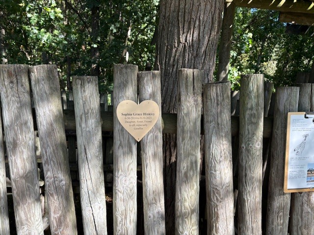 Hearts at Twiga