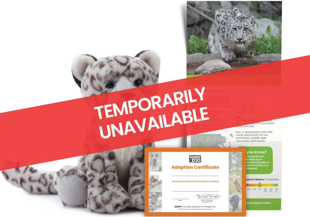 Snow Leopard Mockup-unavailable